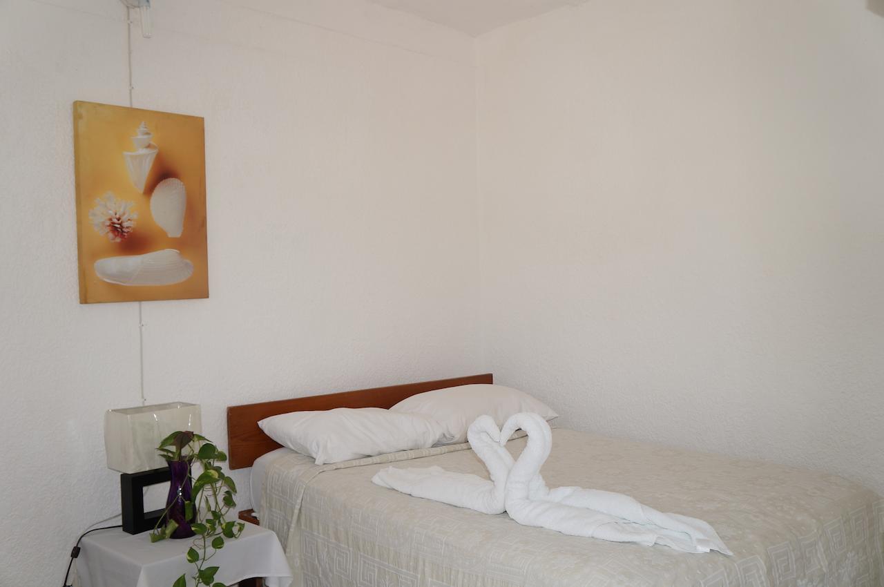 Posada Amor Hotel Boutique プエルト・モレロス エクステリア 写真