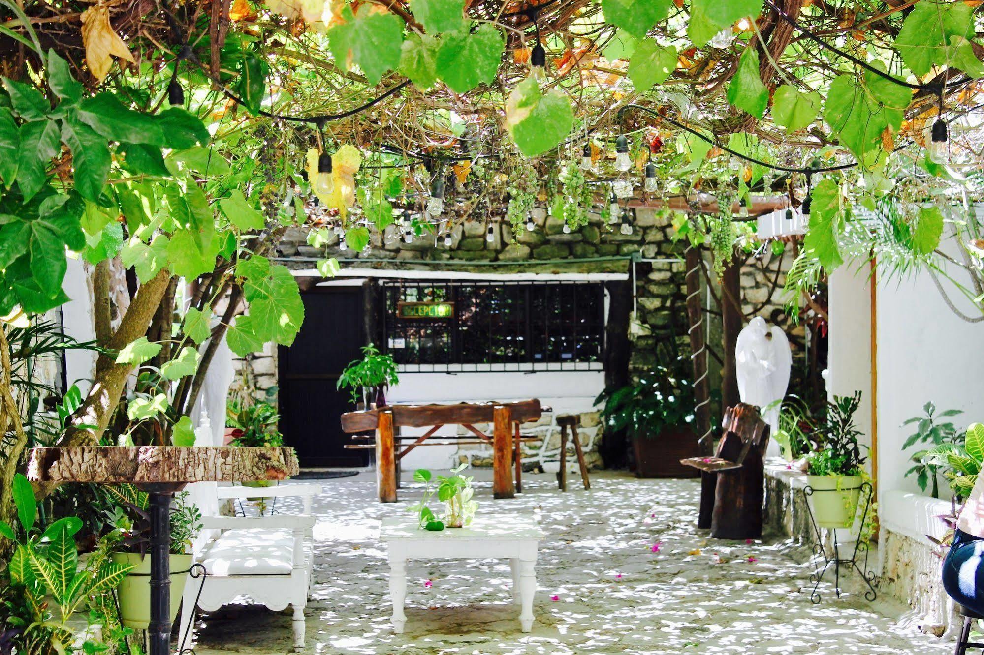 Posada Amor Hotel Boutique プエルト・モレロス エクステリア 写真